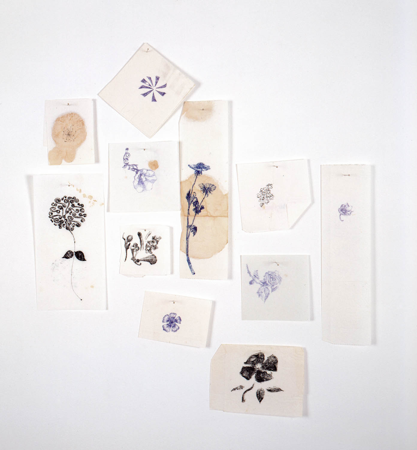 A DIARY OF FLOWERS (BETWEEN FRIENDS), 1994