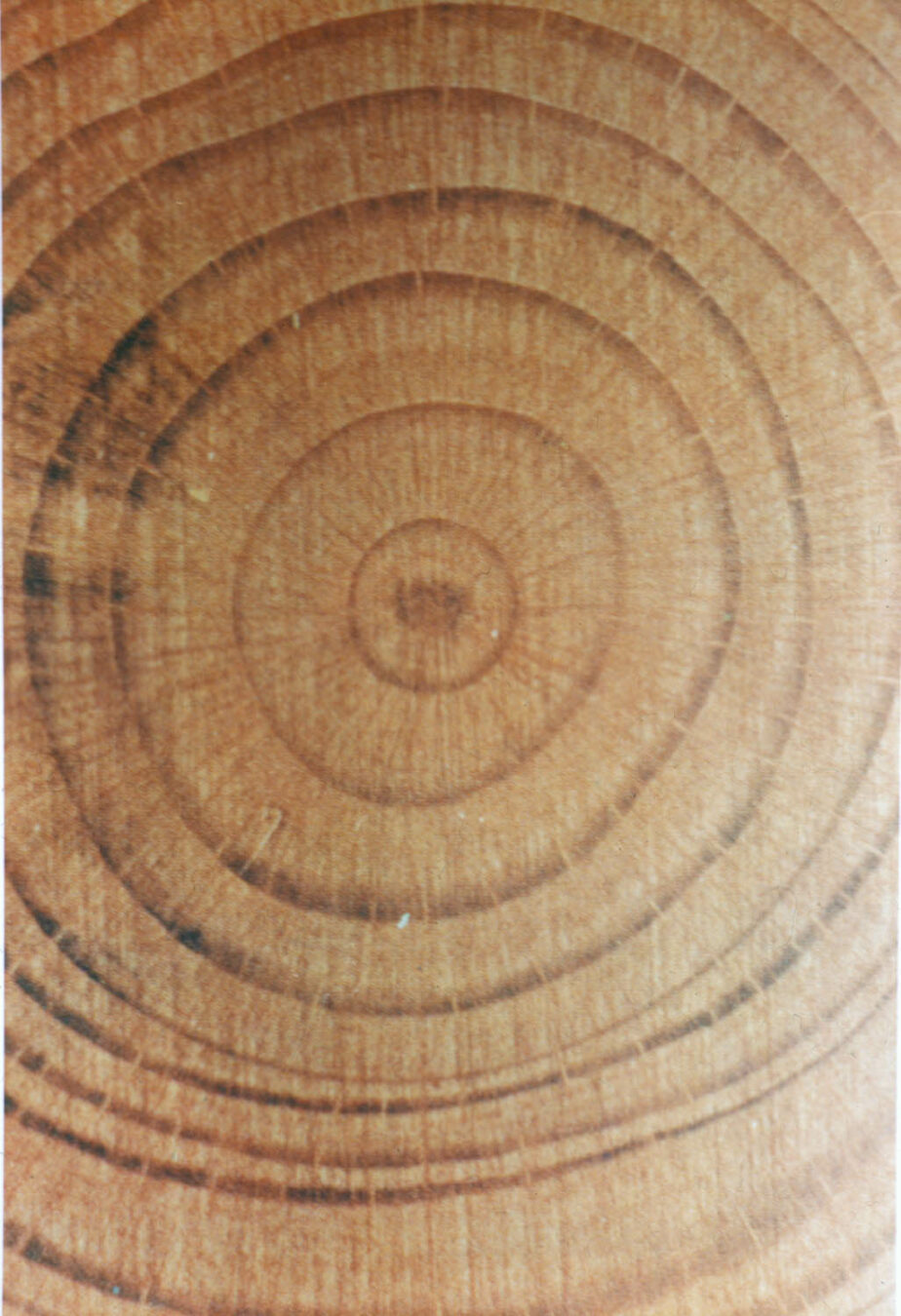 JOINT22b12_MIKE_KELLEY_THE_SUBLIME_The_Innermost_Ring_of_Youth