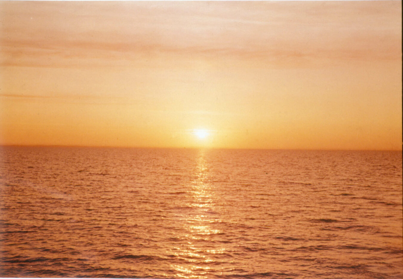 JOINT22b13_MIKE_KELLEY_THE_SUBLIME_The_Rising_Sun